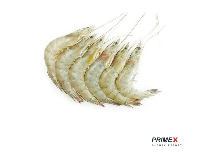 Sea White Prawns