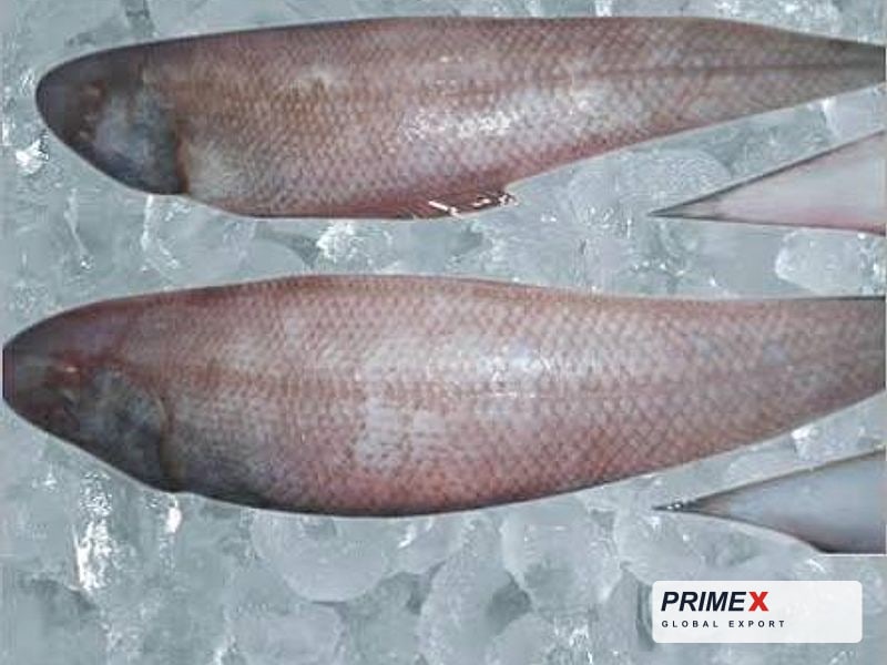 Sole Fish